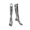 Female:Leg:silver:1