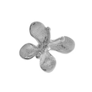 Butterflysilver scaled