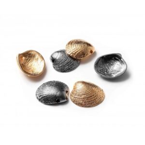 Cockle Shell