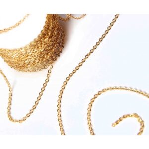 Gold Steel Chain 1