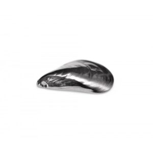 Mussel 1