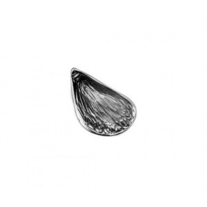 Mussel 3