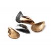 Small Mussel