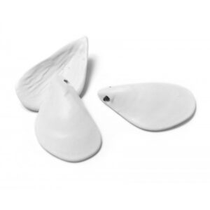 Small Mussel Coloured 1 1