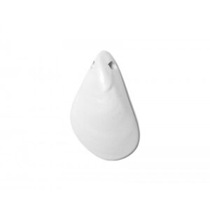 Small Mussel Coloured 4