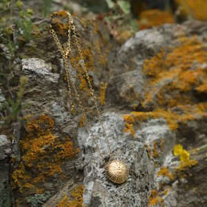 Χρυσός:Αχινός:Κολιέ:6