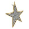 Star:Earring:with:Titanium:Pin
